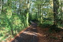 Church_Lane_Littleham_Nov_11.jpg